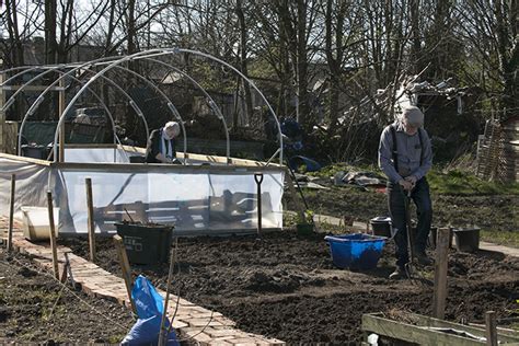 Do not plant bananas with wall trees as they release harmful chemicals that damages the banana plant growth. Coronovirus epidemic - is there anything positive to ...