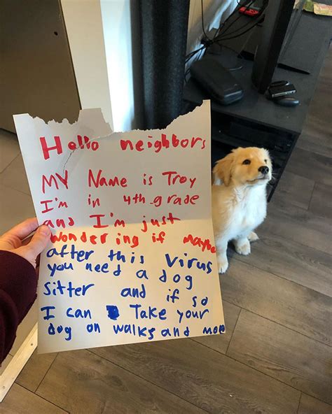 Dog Loving 10 Year Old Boys Writes The Sweetest Letter Offering To