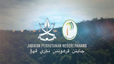 Video Korporat Jabatan Perhutanan Negeri Pahang YouTube