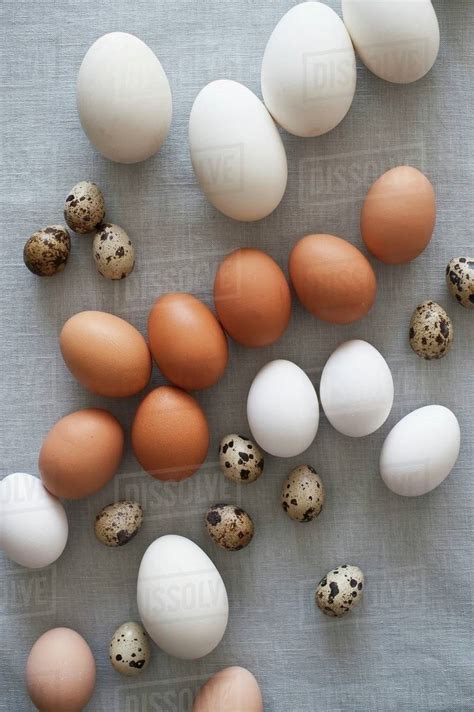 Types Of Egg Styles
