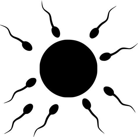 Sperm Cells Egg Surround Svg Png Icon Free Download 529443 Onlinewebfonts