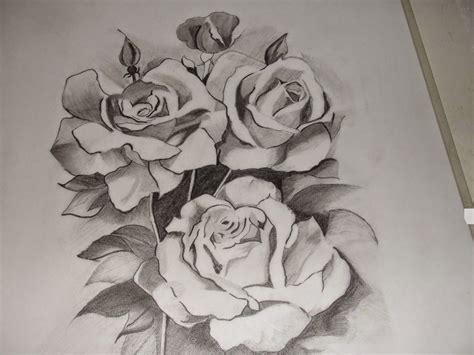 See more ideas about flower drawing, drawings, drawing tutorial. Top 13 Flowers Sketches - Beautiful Sketching Flowers