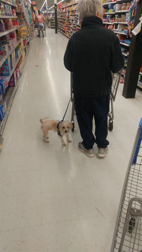 Only In Wal Mart 😔 Animals Dogs Walmart