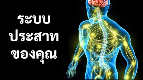 Best ตัวอย่างการกระทําความผิดเกี่ยวกับคอมพิวเตอร์ Update