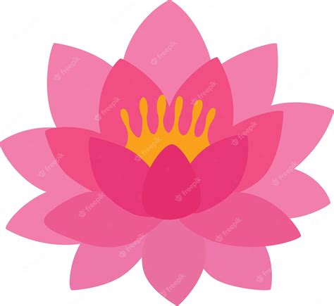 Premium Vector Pretty Pink Water Lily Or Lotus Flower Vector
