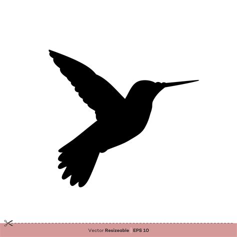 Hummingbird Bird Silhouette Vector Logo Template Illustration Design