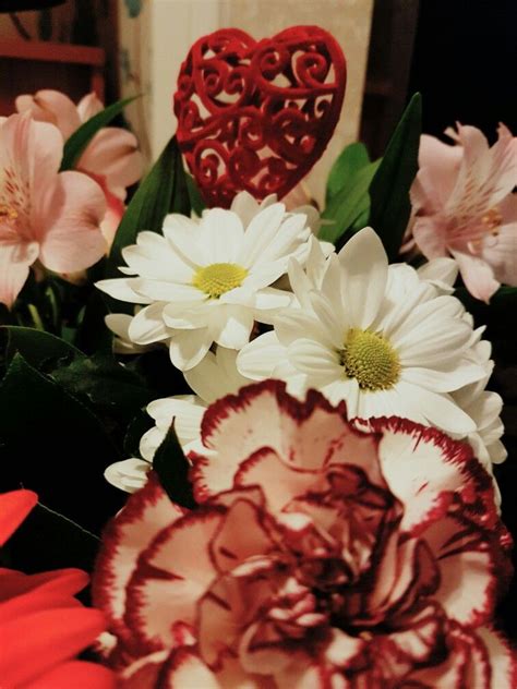 Maybe you would like to learn more about one of these? 21st February-flowers that Andy bought me for Valentine's ...