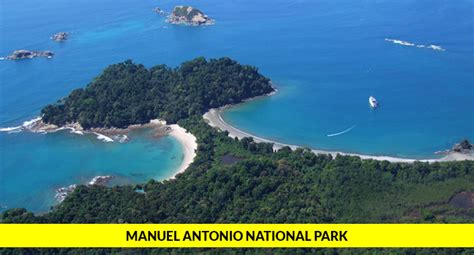 Manuel Antonio National Park Tour Jungle Night Tour Manuel Antonio