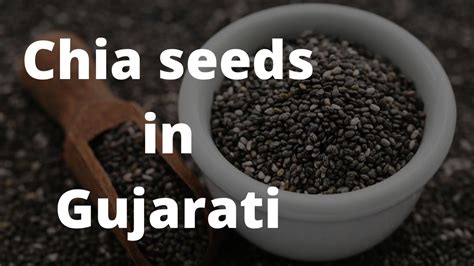 Chia Seed In Gujarati Meaning Usage And Benefits Wikipedia