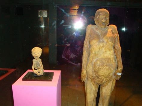 Museo De Las Momias Mummy Museum In Guanajuato Guanajuato My Town