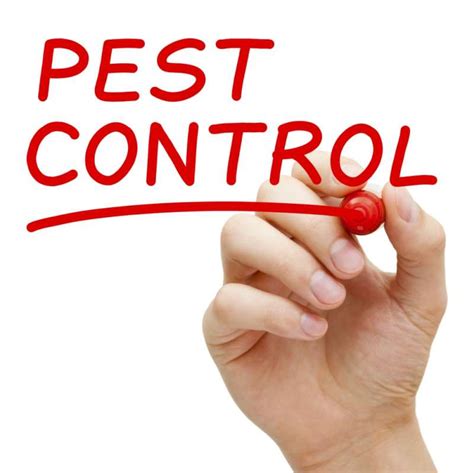 24 Hour Pest Control In Carmel Valley