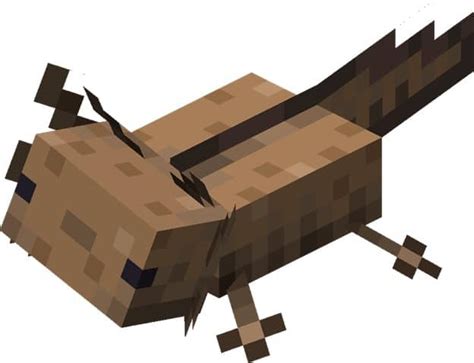 5 Rarest Colors Of Axolotl In Minecraft 2022