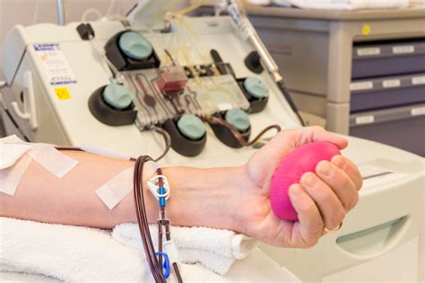 What Do They Do With Plasma Donations at Sean Bracken blog