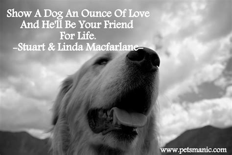 Dog Quotes Pets Manic Blog