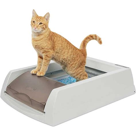 Petsafe Scoopfree Automatic Self Cleaning Cat Litter Box Includes