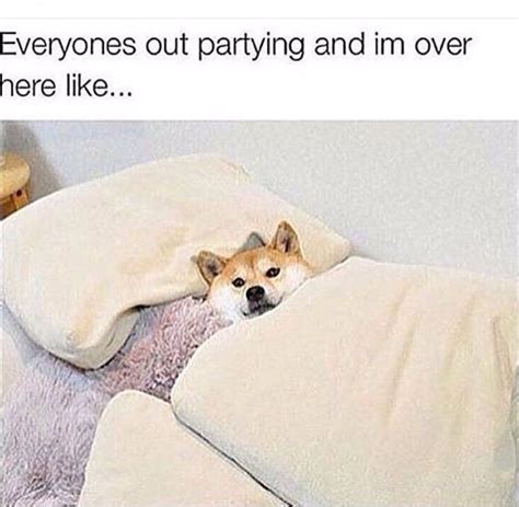 15 memes that perfectly describe living with a chronic illness during the holidays funny