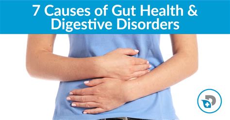 7 Common Causes Of Poor Gut Health And Digestive Disorders Dr Daniel