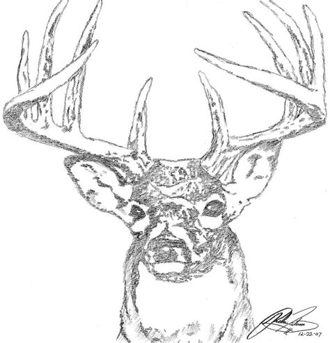 Join buck on a mission to share god's love this fall in the first. Buck Sketch Drawing by Richie Tatum