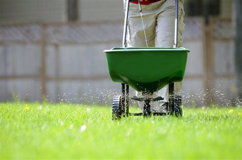 At hambleton lawn & lawn care, we use holganix, which is a natural plant probiotic that utilizes the power of soil microorganisms. 8 Steps On How To Fertilize Lawn Perfectly - A Green Hand