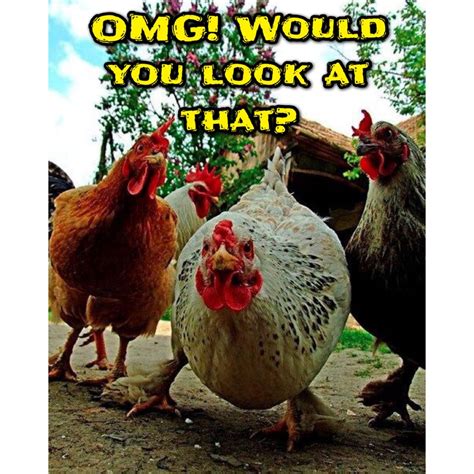 Pin By Pinner On Memes ~ Horrors Chicken Humor Chickens Funny Animals