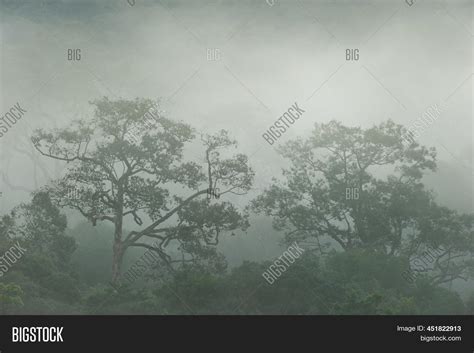 Scenery Tropical Image And Photo Free Trial Bigstock