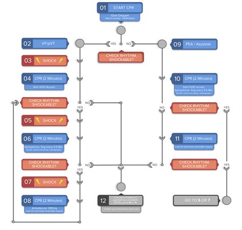 The 7 ACLS Algorithms You Absolutely Need to Know