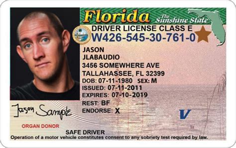 Florida Drivers License Gambaran