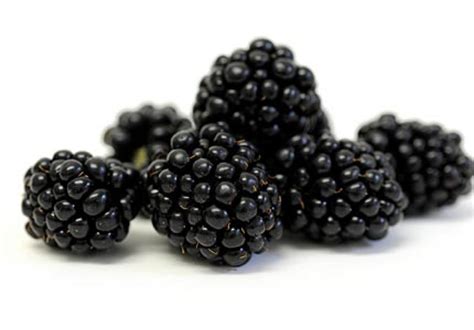 Health benefits of eating blackberries. The many health benefits of blackberries - Step Into My ...