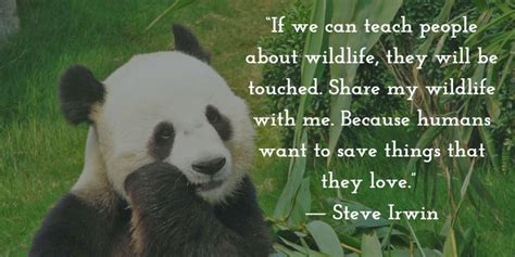 Quotes On Wildlife Conservation To Think Over Enkiquotes Wildlife