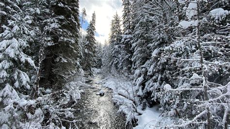 Find Solitude On These Snowy Trails In Oregon Travel Oregon