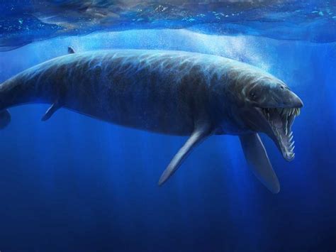 The Evolution Of Whales Whale Prehistoric Animals Prehistoric Creatures