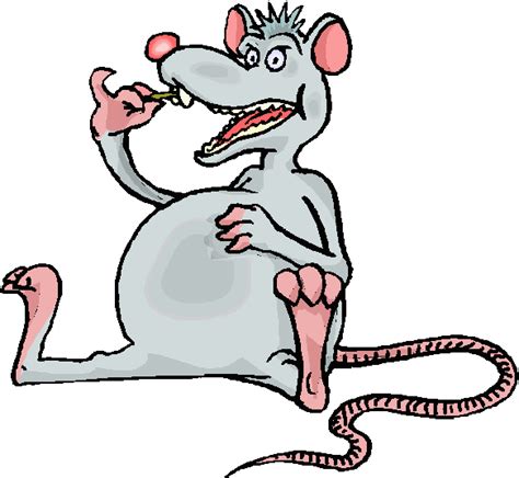 Cartoon Rat Pictures Cute And Adorable Rat Illustrations