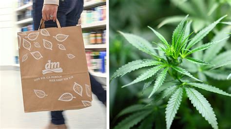 Preisspanne bei rossmanns cbd produkten reicht von ungefähr 3 euro für hanftee bis 60 euro für ein extrakt. CBD-Öl bei dm und Rossmann: Das Hin und Her mit ...