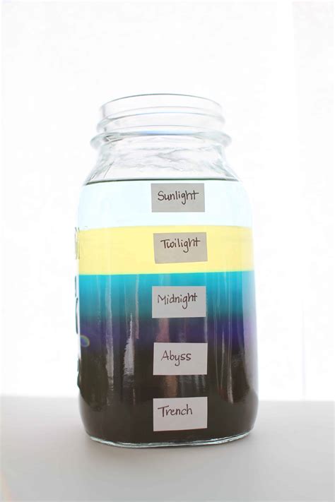 Make Your Own Ocean Zones In A Jar I Can Teach My Child Bloglovin
