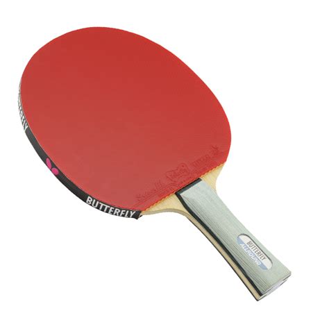 Table Tennis PNG Transparent Images, Pictures, Photos ...