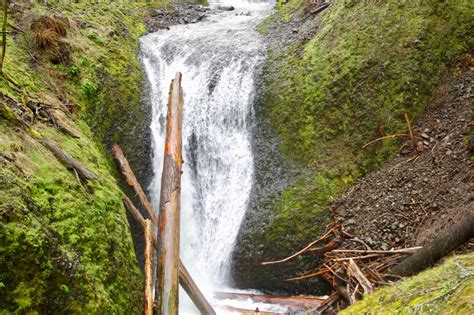 Filemiddle Oneonta Falls Horsetail Trail Hiking In Portland