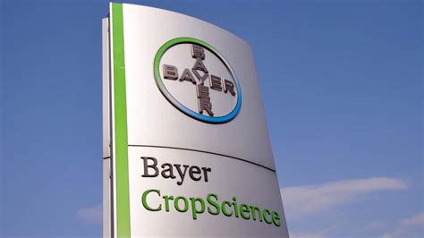 Bayer Usa Fábrica Virtual Para Reformular Estratégia De Negócios