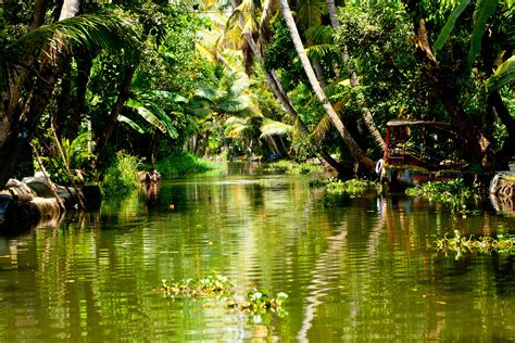 Kerala Tourism Destinations Journey To Gods Own Country Travelsite