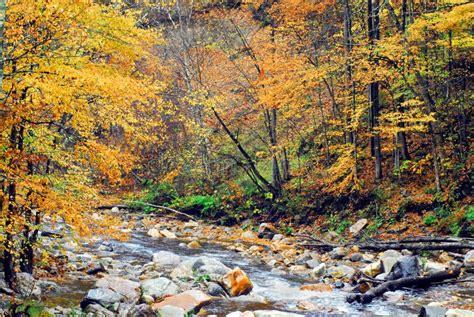Autumn Fall View Of A Stream Flowing Through Fall Colors Stock Photo