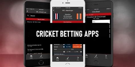 The Best Cricket Betting Apps In India 2021