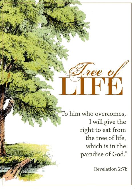 Bible Study Bounty Of Blessings No 1 Printable Tree Of Life