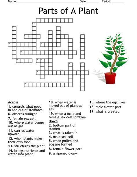 Flower Part Definitions Crossword Puzzle Answer Key Best Flower Site