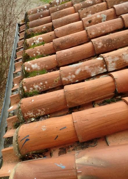 French Roof Tiles Free Stock Photo Public Domain Pictures