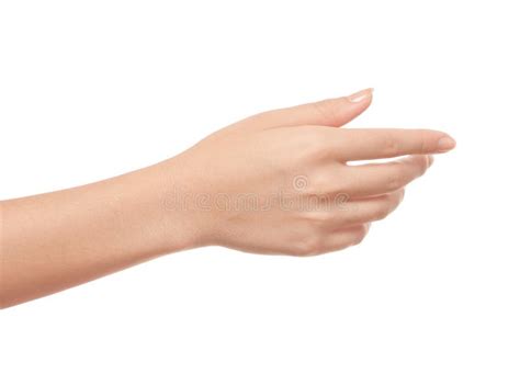 Woman Hand Picture Woman Hand Royalty Free Stock Image Bodesewasude