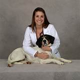 Pictures of South Hill Veterinary Hospital Puyallup