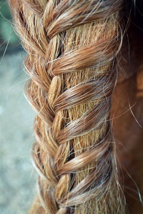 A beautiful way to keep your horse's memory alive. 30 Amazing Horse Tail Braids Ideas to make Your Friends ...