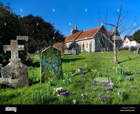 Spring Flowers Populate The Churchyard Of St Marys Church Brighstone