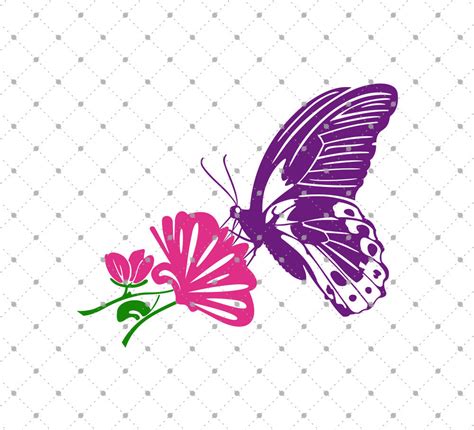 Svg Cut Files For Cricut And Silhouette Butterfly With Flower Svg Files