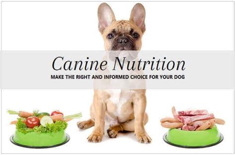 Proceed to the restaurant's website. Pin on Dog food and nutrition information