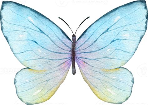 Butterfly Watercolor Illustration 9369374 Png